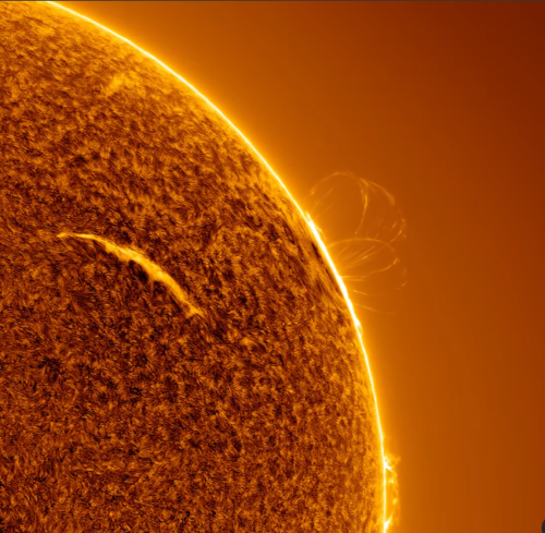 Giganteschi archi di plasma sono apparsi sul Sole dopo un’eruzione solare