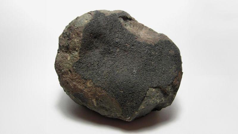 allende-m-1.jpg