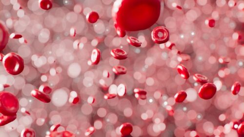 Un team di scienziati ha realizzato una batteria del sangue che supporta fino a 30 giorni di carica