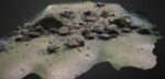 Scoperto muro in pietra nel Baltico: ”Potrebbe essere la più antica megastruttura umana d’Europa”