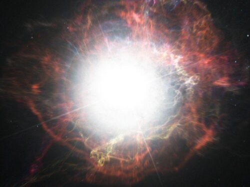 Una stella esplosa mesi dopo essere stata studiata: la scoperta di SN 2023fyq
