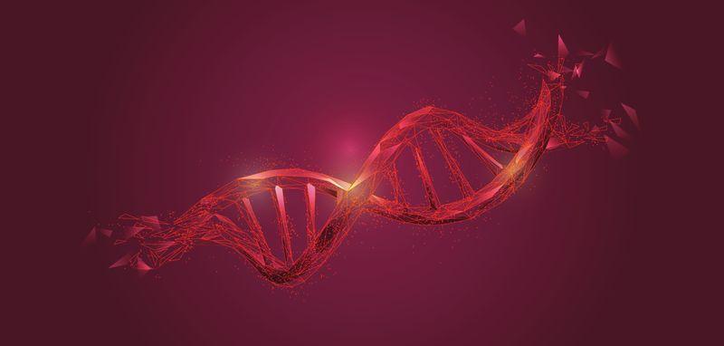 Evoluzione umana: il genoma plasmato dalla selezione naturale