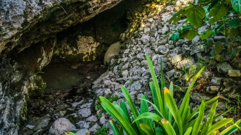 Una grotta sigillata viene aperta e quello che trovano è incredibile