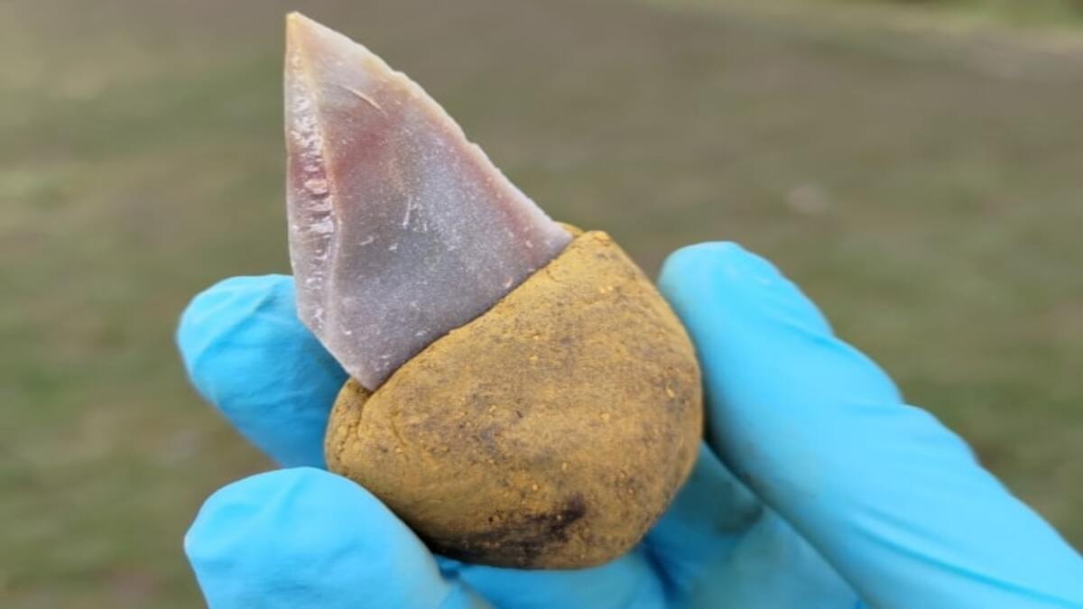 Neanderthal usavano colla per realizzare strumenti di pietra 40.000 anni fa