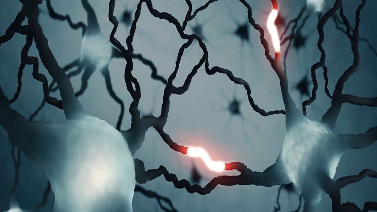 Segnale unico nel suo genere è stato rilevato nel cervello umano