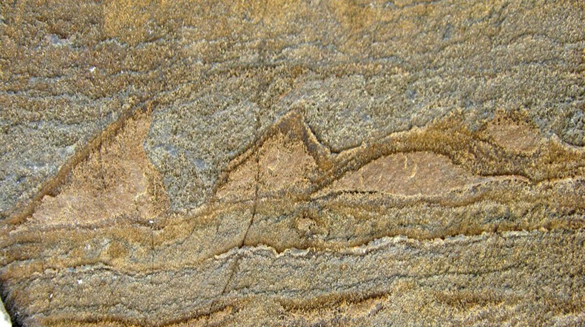 I fossili più antichi del mondo sono stati trovati in Groenlandia