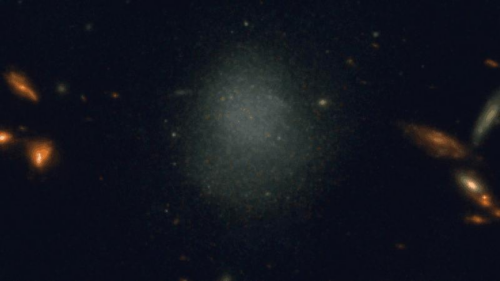 La scoperta di una galassia nana isolata e tranquilla sfida le teorie sulla formazione delle galassie
