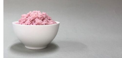 Carne coltivata in laboratorio: ibrido di carne e riso che cresce in provetta