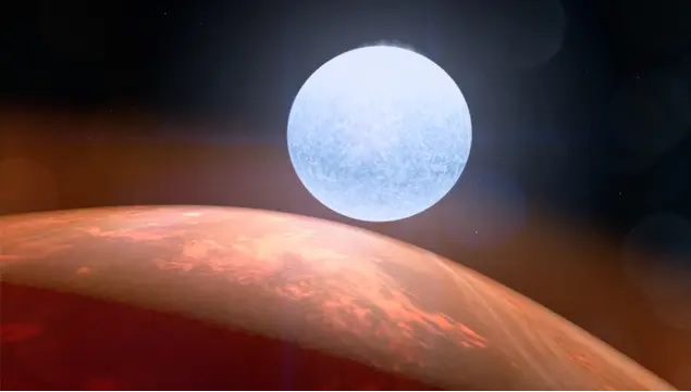 stella-1.jpg