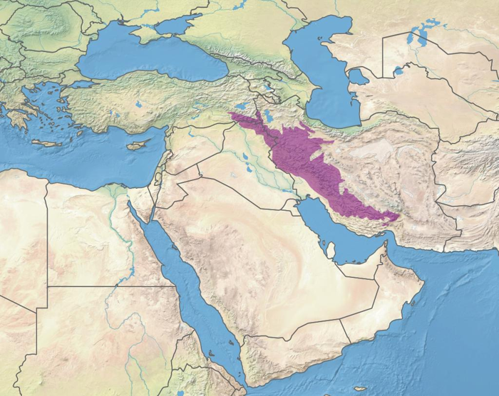 Mappa che mostra l'Altopiano Persiano (detto anche Altopiano Iraniano) situato a est dei Monti Zagros (mostrati in rosa violaceo).