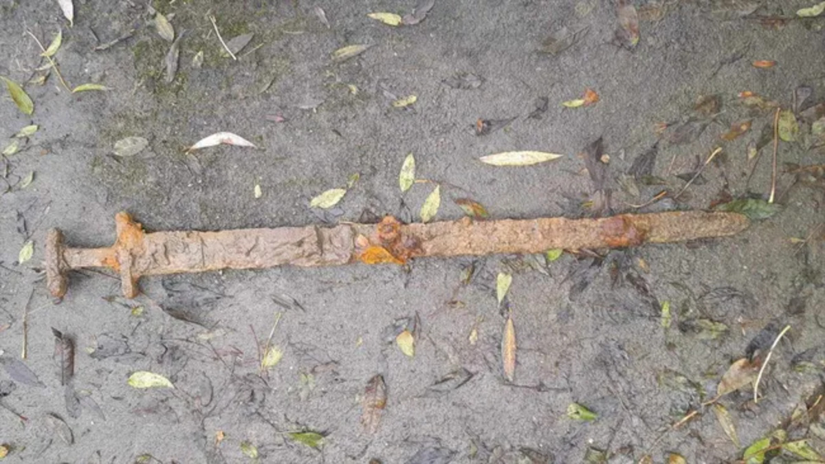 Regno Unito: trova una rara spada vichinga mentre usa il metal detector