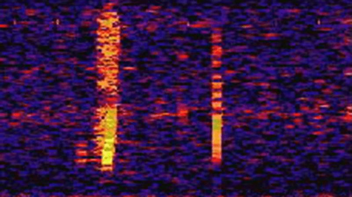 bloop-m-1.png