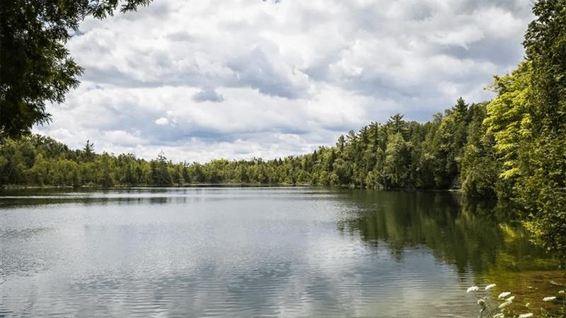 Crawford lake contiene tracce di radioattività