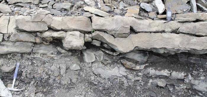 dinosaur-tracks-m-1.jpeg