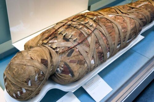 Parassiti nell’antico Egitto: Malaria, Toxoplasmosi e Altre Malattie Rivelate dalle Mummie