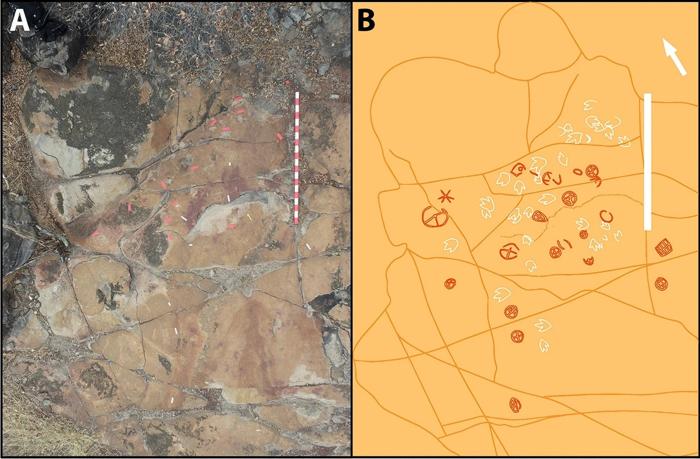 Petroglifi e tracce di dinosauri in Brasile