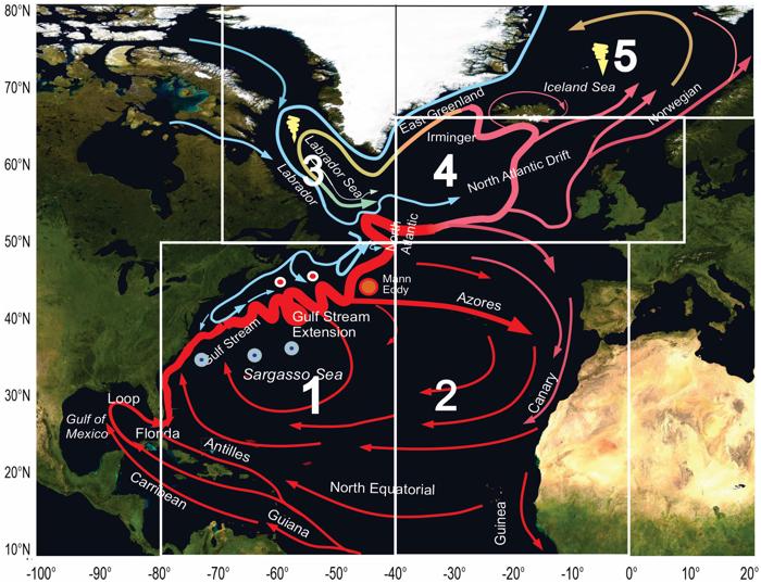 Uno schema della circolazione dello strato superiore dell'Oceano Atlantico settentrionale. Correnti calde rosse, correnti fredde blu. Le caselle bianche da 1 a 5 indicano cinque diverse aree di analisi dove la temperatura, la salinità e le velocità delle correnti presumibilmente differiscono considerevolmente.