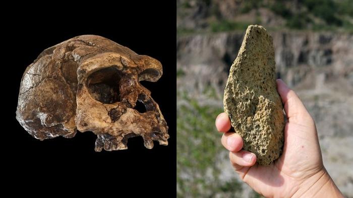 Gli strumenti di pietra più antichi trovati in Europa hanno 1,4 milioni di anni e probabilmente sono stati usati da Homo erectus
