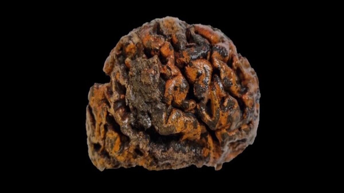 Scoperti cervelli umani incredibilmente ben conservati risalenti a 12.000 anni fa
