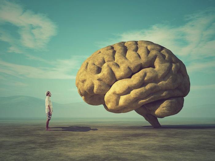 human-brains-getting-bigger-m-1.jpg