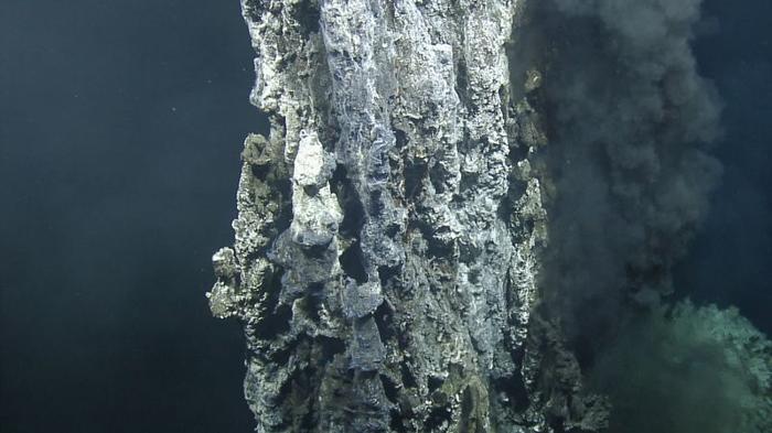 Una sorgente idrotermale sottomarina nel segmento Endeavour della dorsale di Juan de Fuca vicino all'isola di Vancouver, Canada.