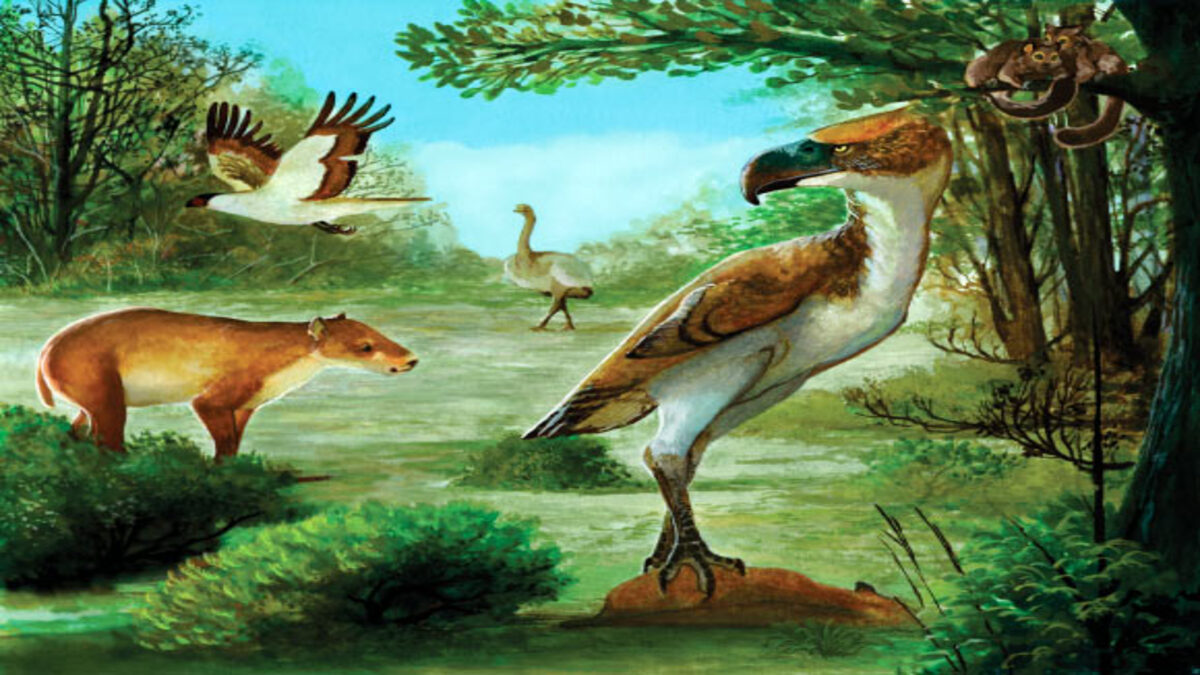 Enormi uccelli erano dei superpredatori in Antartide durante l’Eocene