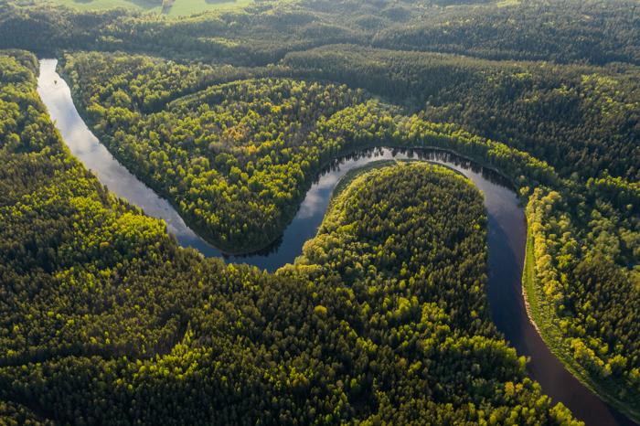 Foto aerea del fiume Amazzonico che si snoda attraverso la fitta foresta pluviale e gli alberi in Brasile.
