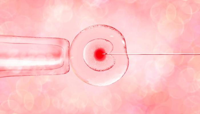 immagine concettuale che mostra l'iniezione di un ovulo, come avviene nella fecondazione in vitro