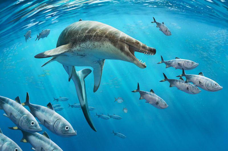 Paleoart of a giant marine lizard with big teeth underwater surrounded by fish