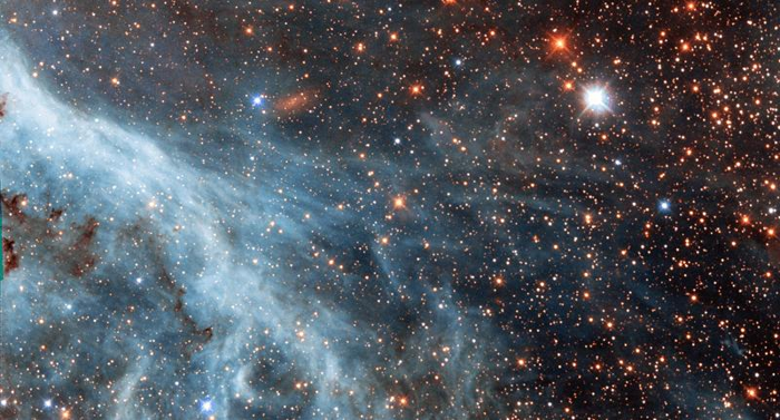 Questa immagine delle Nubi di Magellano mostra la periferia della Nebulosa Tarantola, ma anche quante stelle giganti rosse ha la galassia vicina.