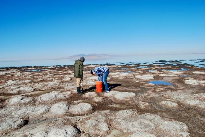 Due ricercatori stanno guardando verso il basso il terreno grigio e grumoso con un secchio arancione. Il cielo è di un blu brillante e il Grande Lago è mostrato in lontananza con un'isola appena visibile.