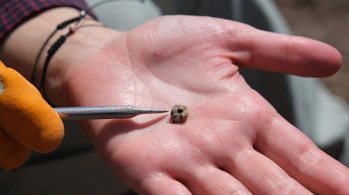 oldest-piercing-m-1.jpg