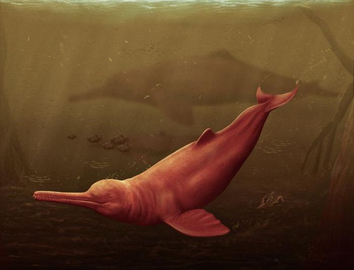 Un'immagine artistica di un grande delfino rosa con piccoli occhi e un lungo muso con denti che nuota sul fondo di un fiume torbido. Sullo sfondo c'è un altro delfino e alcuni pesci oltre a dei rami nell'acqua.