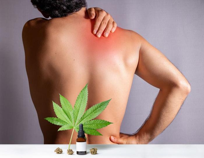 Persona con la schiena nuda rivolta verso un muro bianco che tiene la spalla rossa, di fronte a loro c'è un tavolo con una bottiglia di tintura, una foglia di cannabis e boccioli di cannabis