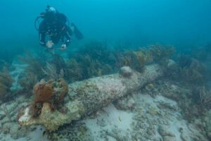 Una foto di un subacqueo che esamina un cannone ricoperto di corallo sul fondo del mare. L'acqua è di un blu torbido e il cannone giace sulla sabbia. È circondato da alghe marine.