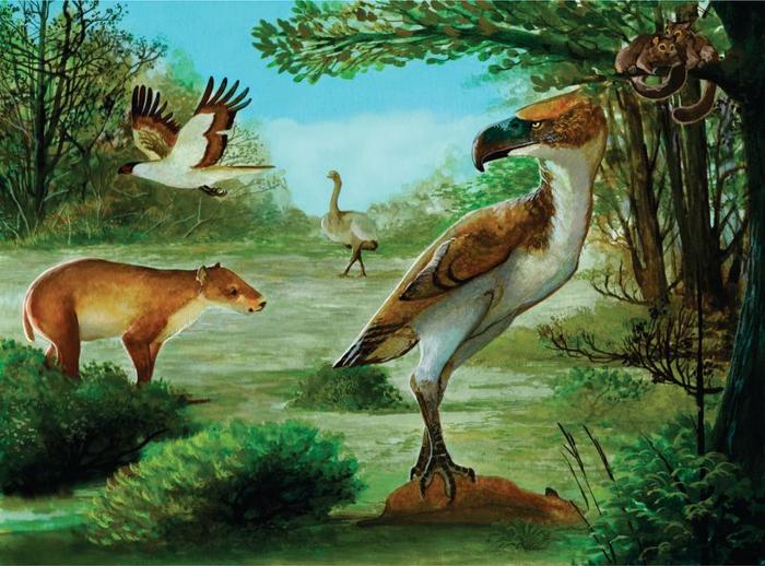 Ricostruzione dell'ambiente dell'Eocene in Antartide includente marsupiali, mammiferi ungulati, uccelli rapaci e l'uccello del terrore di recente descritto.
