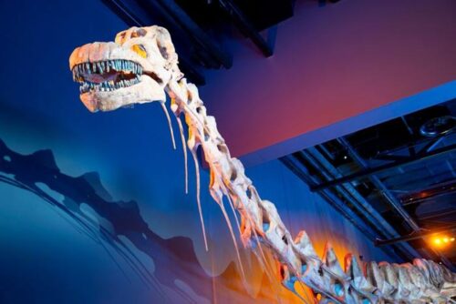 Il Regno dei Titanosauri: Dominatori del Cretaceo