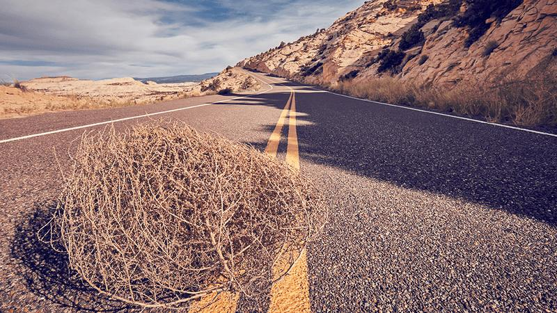tumbleweed-m-1.png