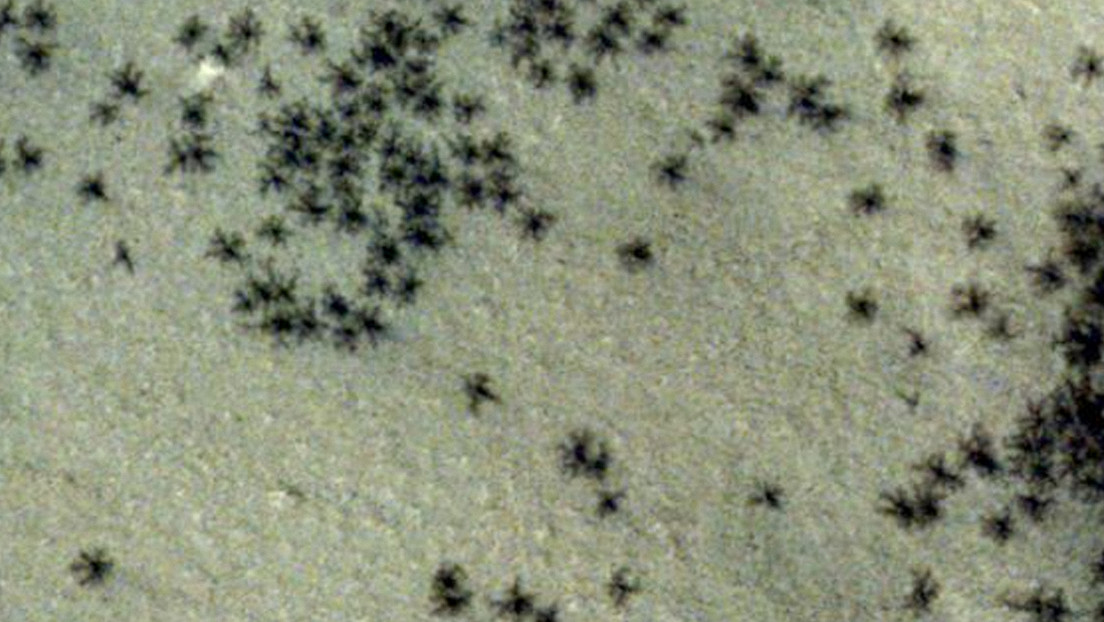 662ca66e59bf5b1e2e5582a2-1.jpg