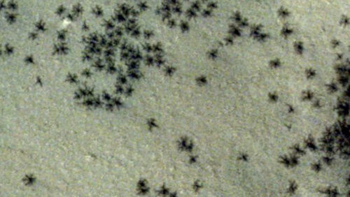 Inquietanti “ragni” trovati sulla superficie di Marte