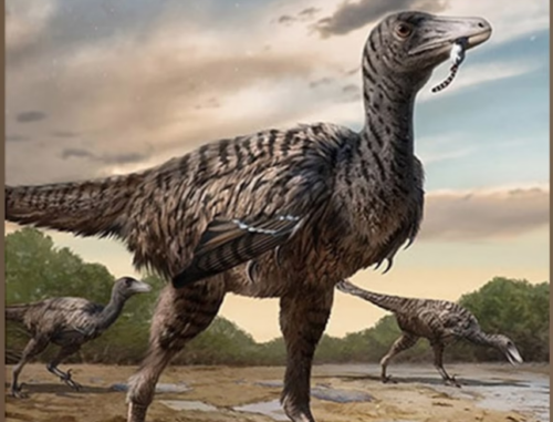 Gigantesche impronte fossili indicano la scoperta di un nuovo dinosauro “megaraptor”