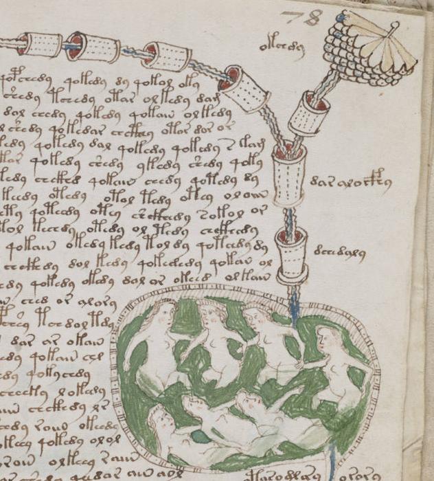 Una foto di una pagina del Manoscritto Voynich che mostra parte del suo testo indecifrabile all'interno di un disegno di sette figure femminili che si bagnano o nuotano in un liquido verde. Questo liquido verdastro è collegato a ciò che sembra essere un tubo che attraversa cilindri sconosciuti. Nell'angolo in alto a destra della pagina, il tubo si biforca in un'altra diramazione che sembra fiorire in qualcosa che assomiglia a una pigna tagliata a metà.