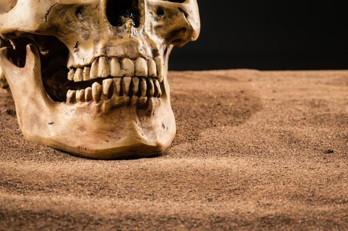 L’evoluzione dell’igiene dentale nel corso dei millenni