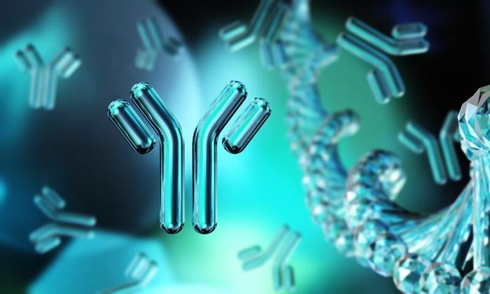 Rappresentazione renderizzata in 3D di un anticorpo, con altri in secondo piano accanto a un filamento di acido nucleico, il tutto in frammenti di turchese e blu