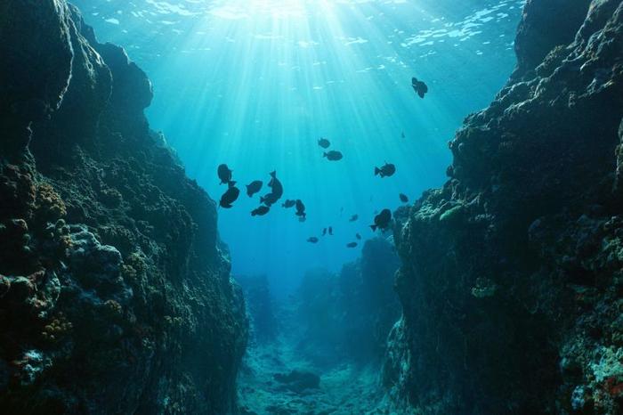 Challenger Deep: Esplorando il Punto Più Profondo dell’Oceano
