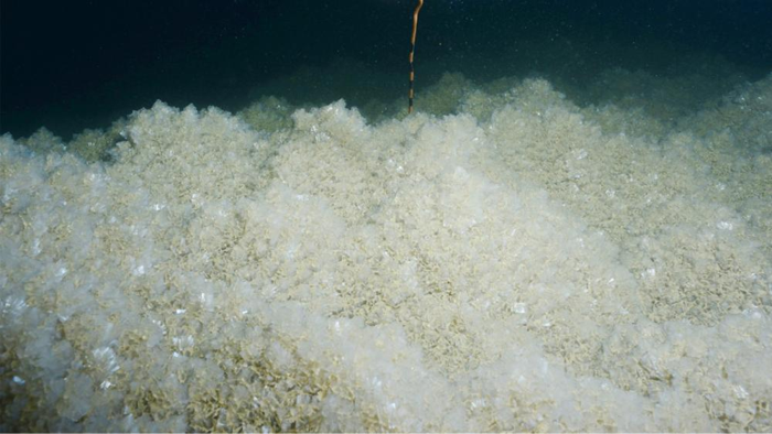 precipitazione di sale sul fondo del lago del mar morto