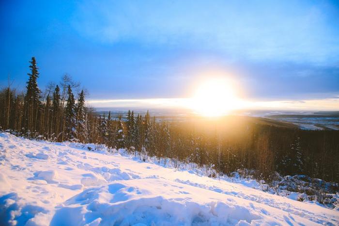 Versante innevato e foresta di pini al tramonto a Fairbanks in Alaska