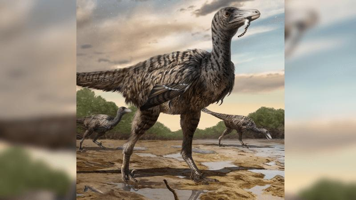 Un grande dinosauro bipede rapace appartenente alla famiglia dei velociraptor, ricoperto di piume e masticando noncurante qualche povera vittima pelosa.