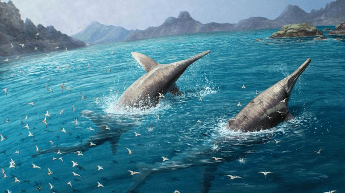 Scoperta della nuova specie di ittiosauro gigante del Triassico