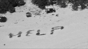 Una fotografia aerea in bianco e nero di una spiaggia sulla quale sono state disposte foglie di palma per comporre AIUTO
